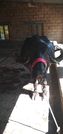 થંબનેલ 3