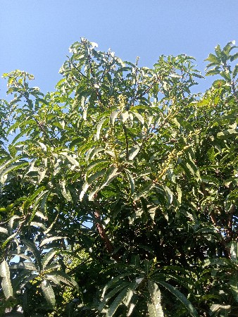 थंबनेल 2