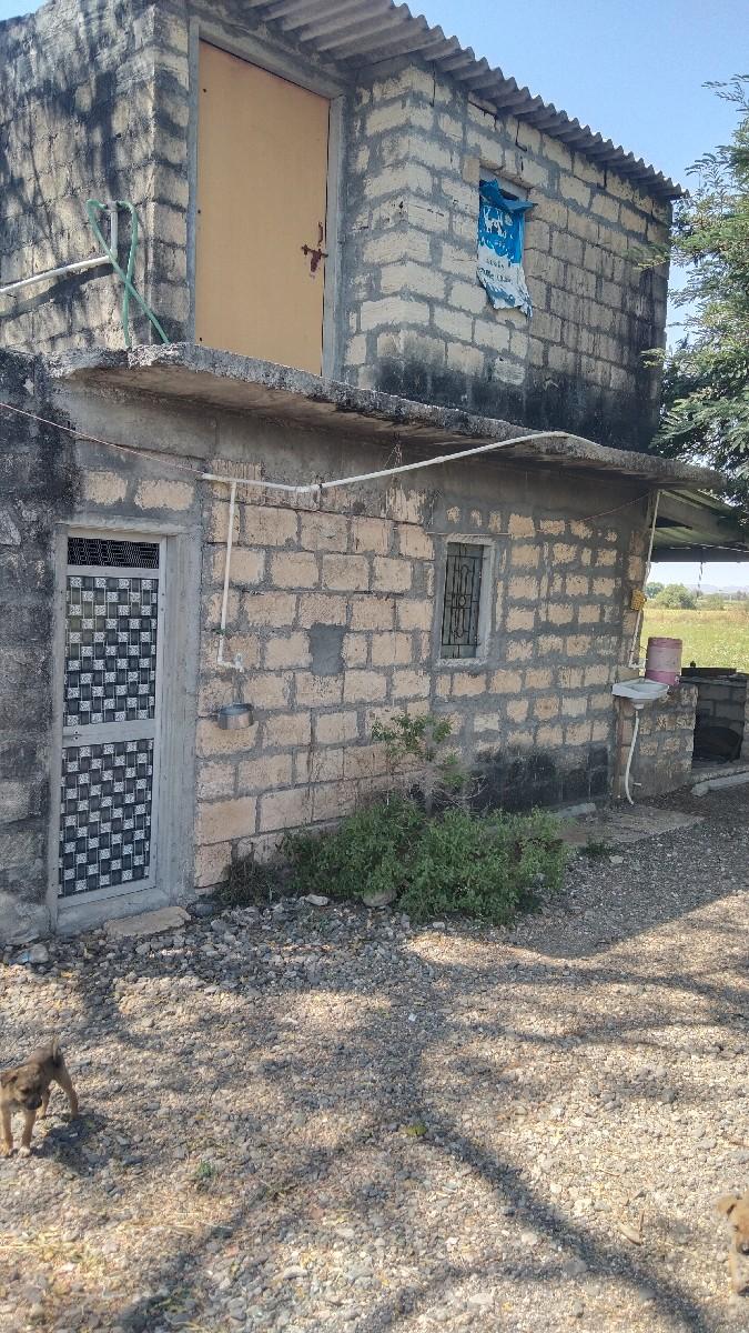 થંબનેલ 2