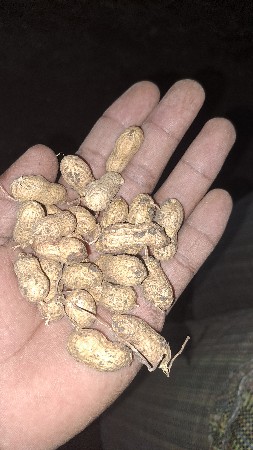 થંબનેલ 3