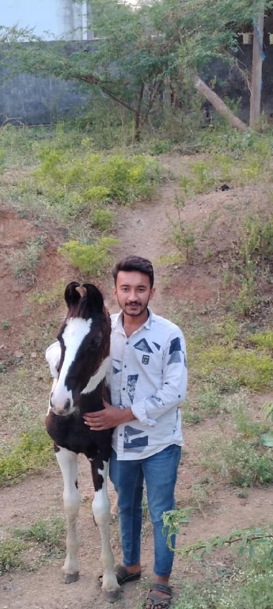 થંબનેલ 3