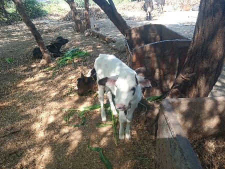 थंबनेल 3