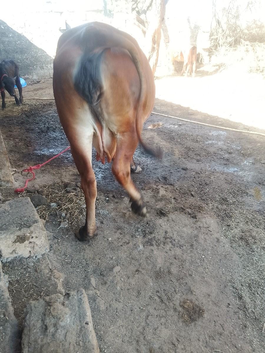 થંબનેલ 3