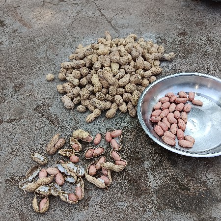 થંબનેલ 4