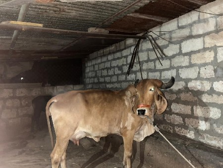 थंबनेल 2