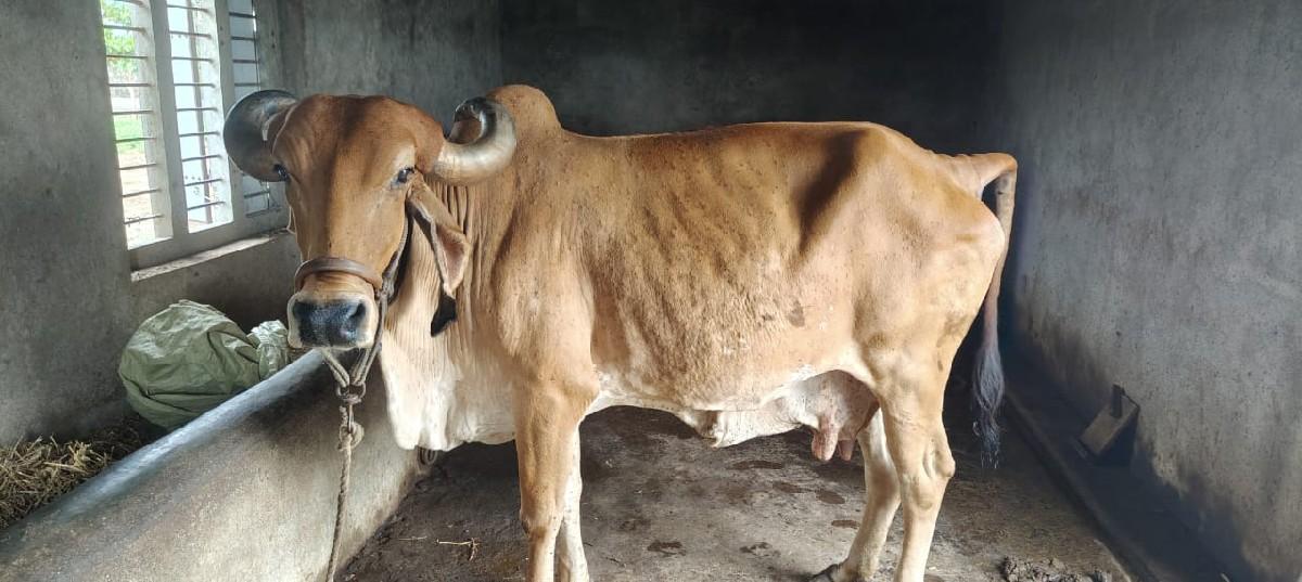 थंबनेल 3