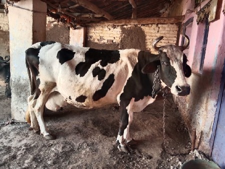 थंबनेल 3