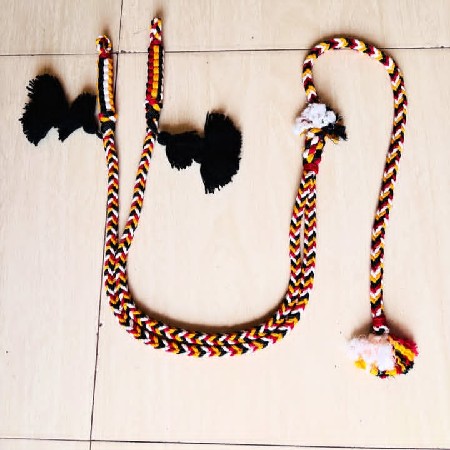 ઘોડી ઓનો સણગાર