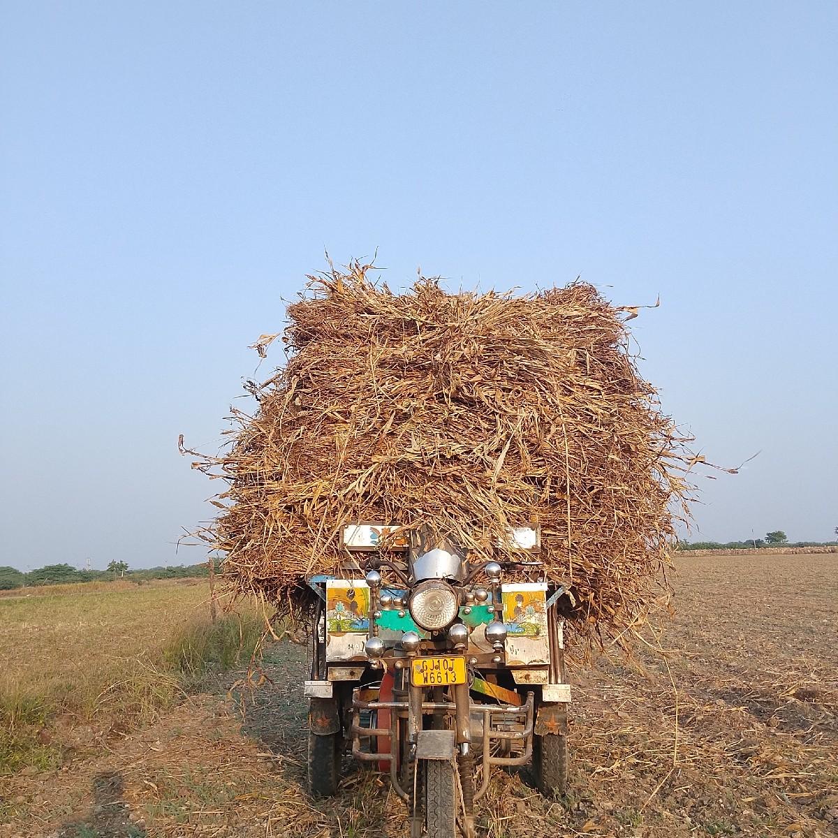 નીરણ વેસવાની છે