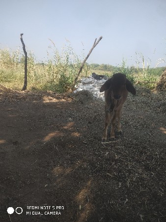 थंबनेल 3