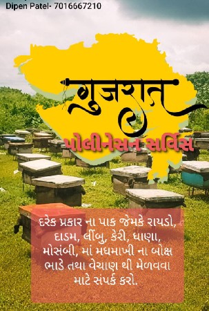 મધમાખી પેટી લેવા માટે સંપૅક કરો
