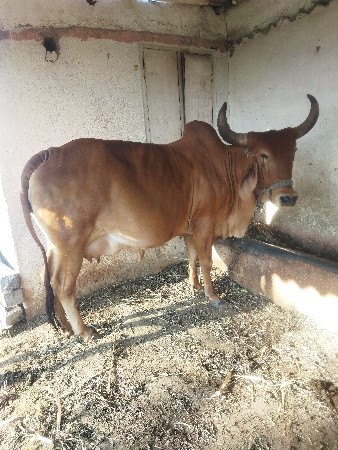 थंबनेल 2