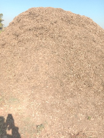 ભૂકો વેચવાનો છે