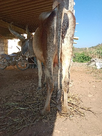 ૬૩૫૪૬ ૫૮૯૧૧