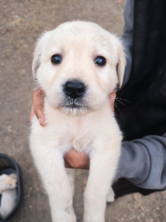 થંબનેલ 3