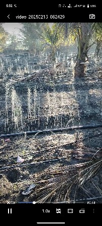 રૈન પાઇપ