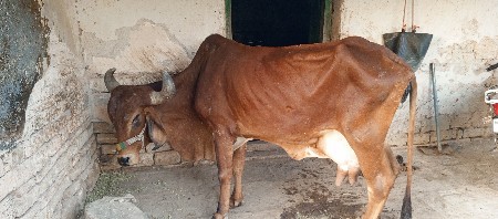 થંબનેલ 3