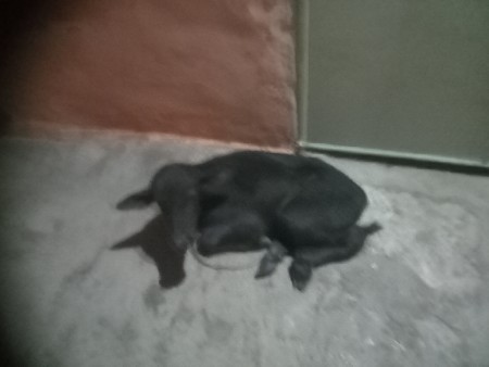 थंबनेल 3