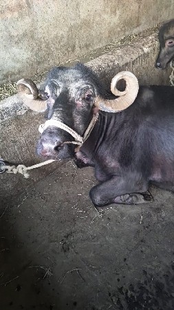 थंबनेल 2