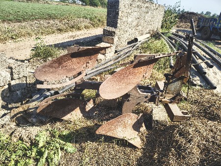 થંબનેલ 2