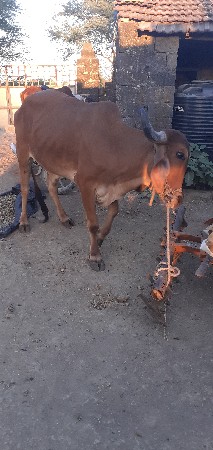 थंबनेल 3