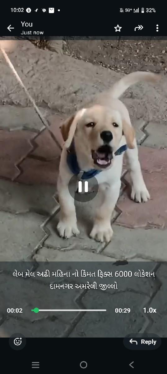 થંબનેલ 2