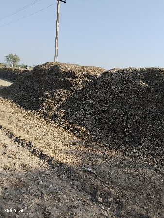 ગિરનાર 4 નો ચરો છે 11 વિઘા નો