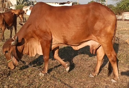 थंबनेल 3