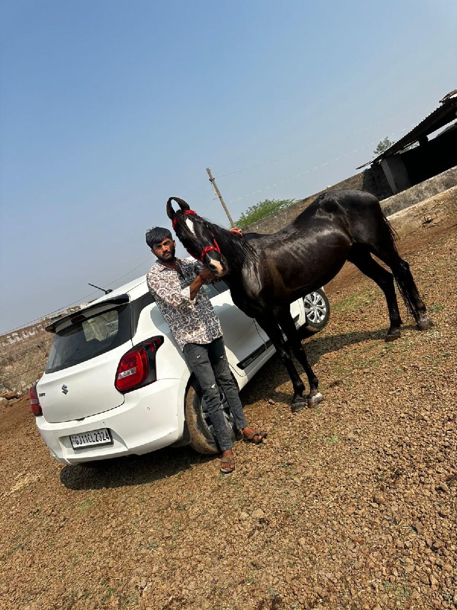 थंबनेल 3