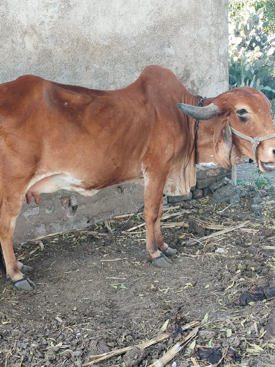 थंबनेल 3