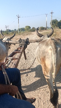 થંબનેલ 6