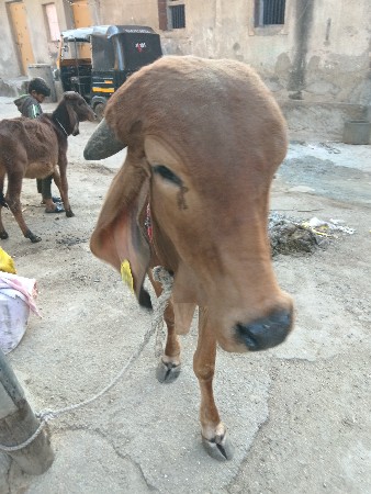 थंबनेल 3