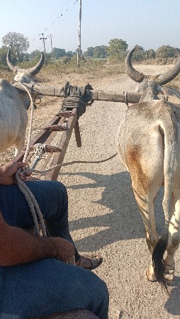 થંબનેલ 5