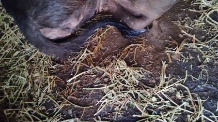 थंबनेल 2