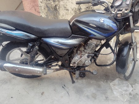 dichkarav. kamlit gadi