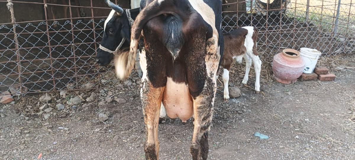 थंबनेल 2