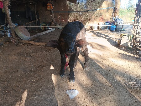 થંબનેલ 3