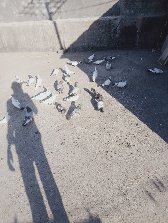 થંબનેલ 2