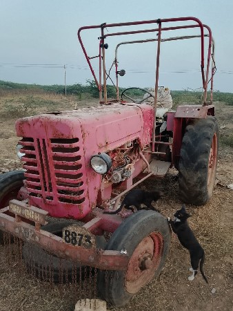 થંબનેલ 3