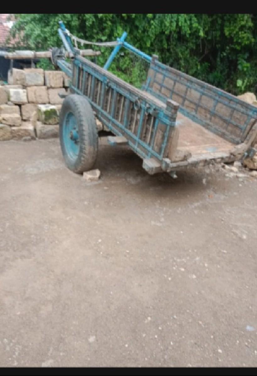 थंबनेल 2