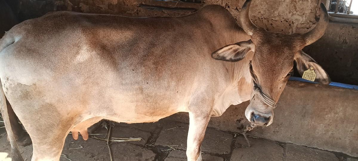 थंबनेल 2