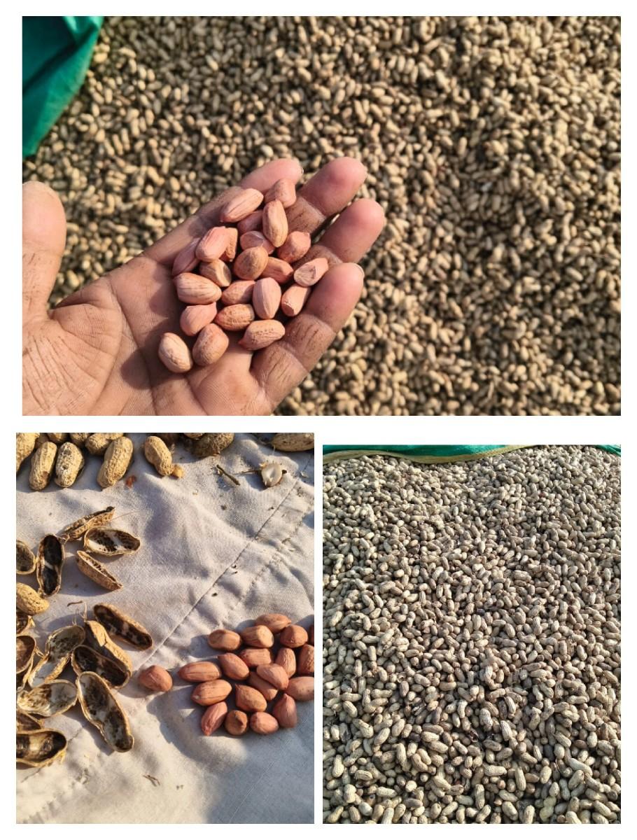 22 no magfadi 
mo-  8780572937