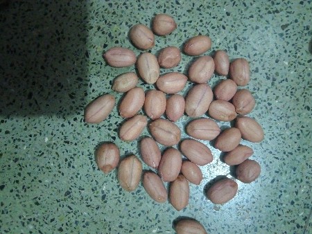 મગફળી વેચવાની છેં  66 નંબર