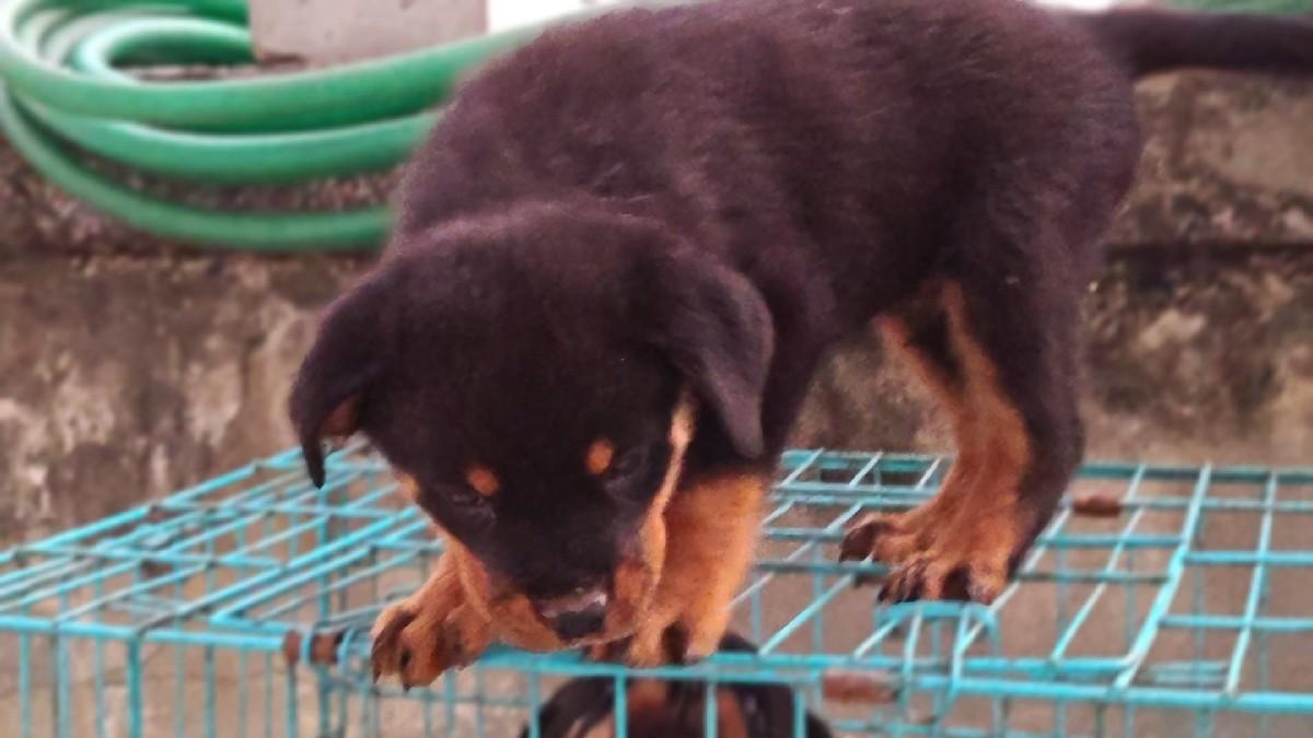 થંબનેલ 3