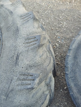 थंबनेल 4