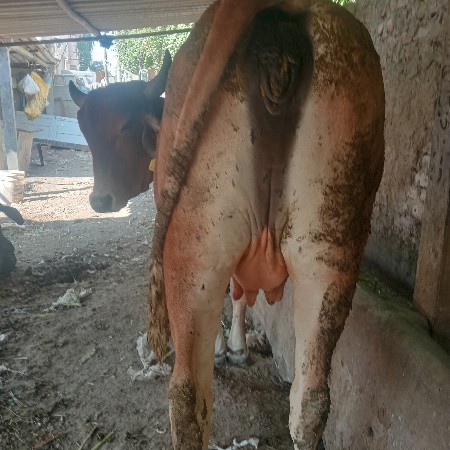 थंबनेल 2