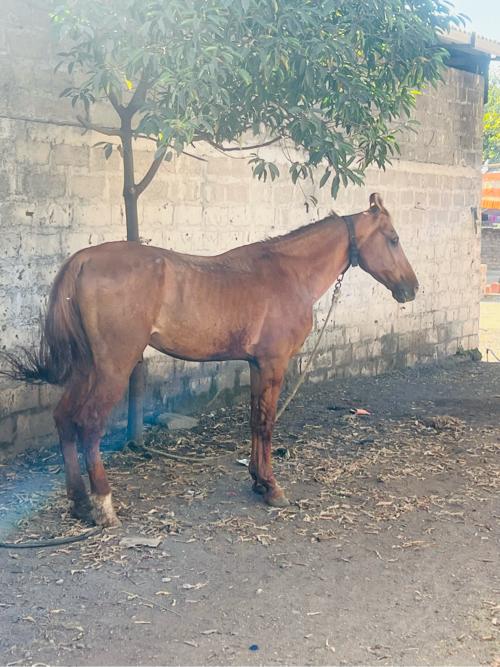 थंबनेल 2