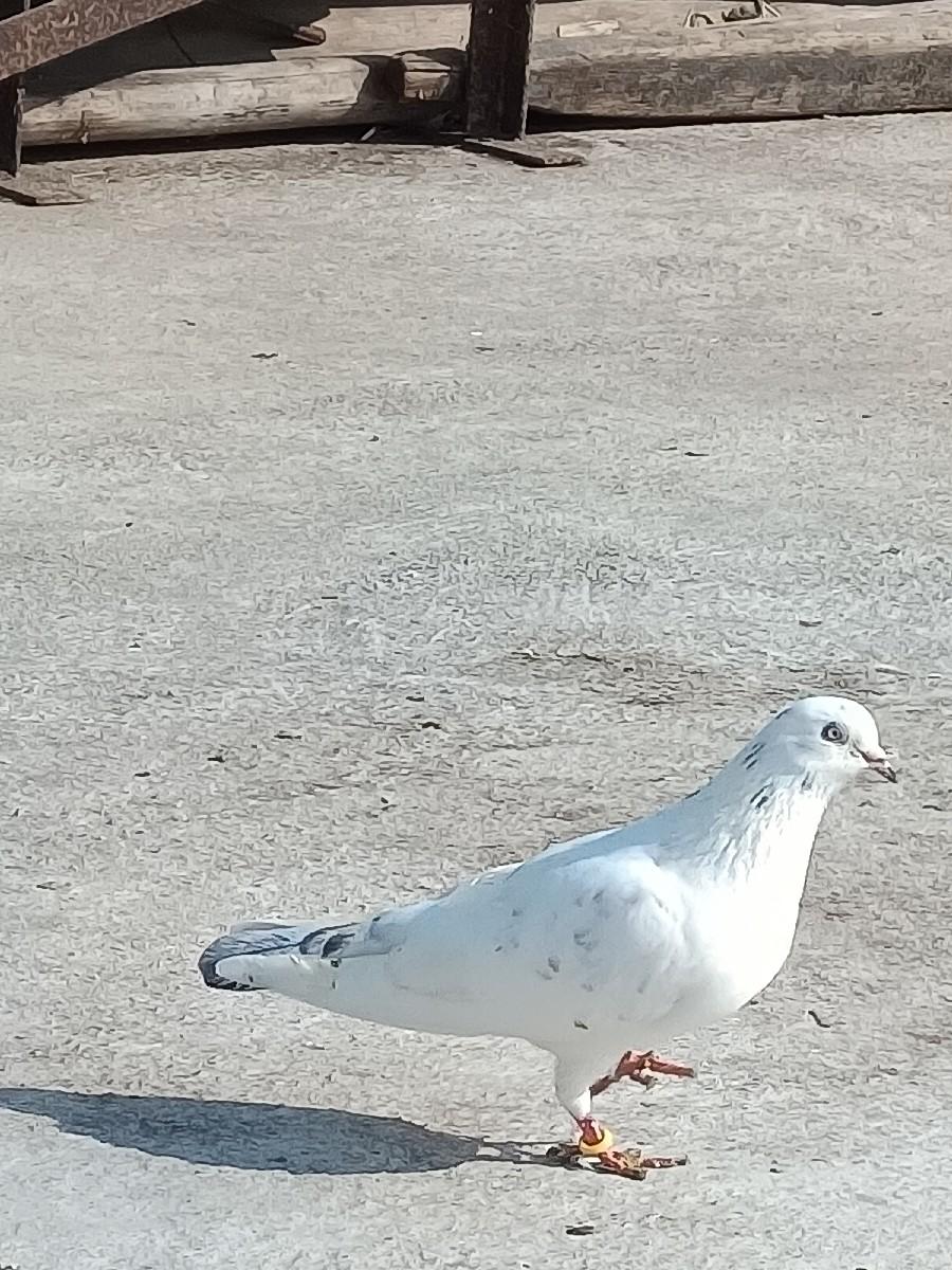 थंबनेल 2