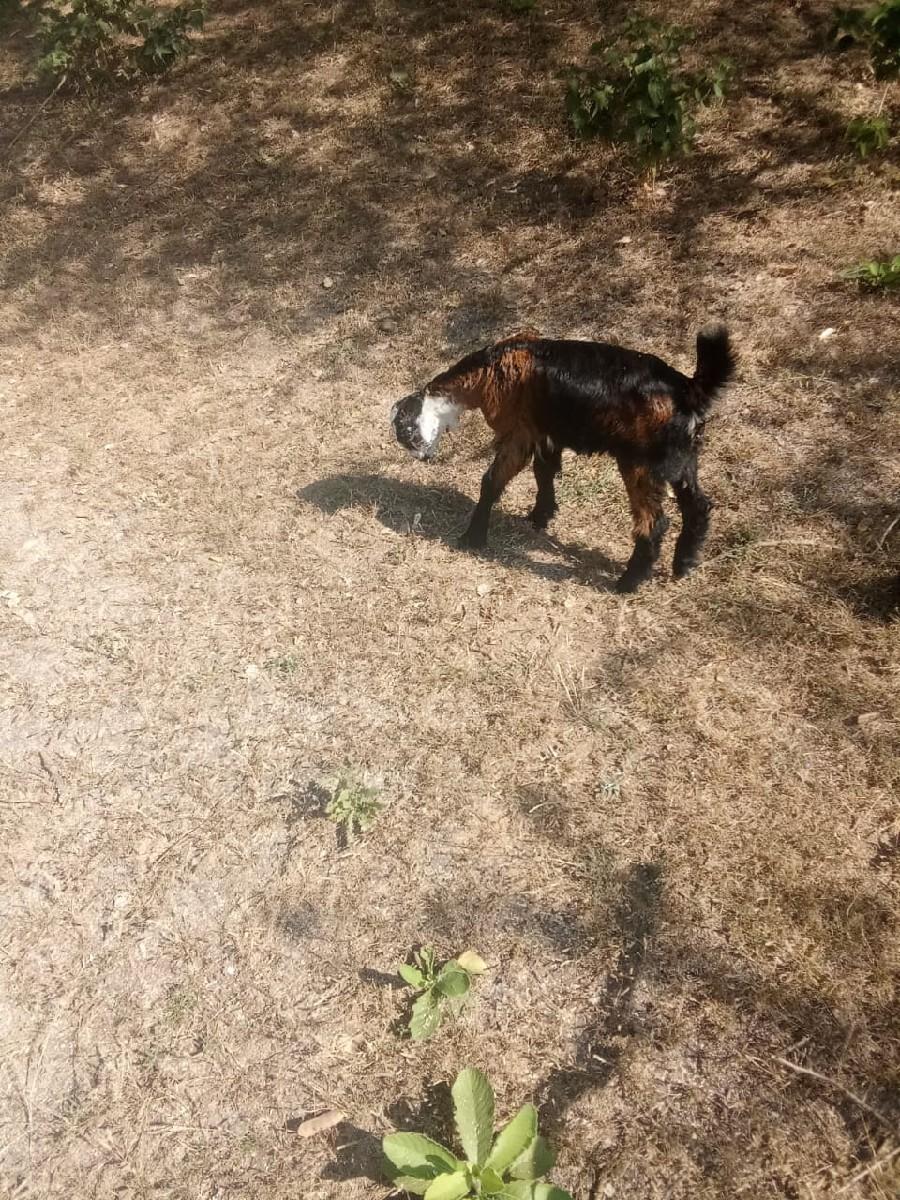 थंबनेल 3