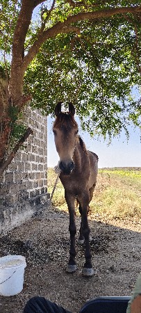 થંબનેલ 2